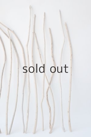 画像3: 棒流木セット