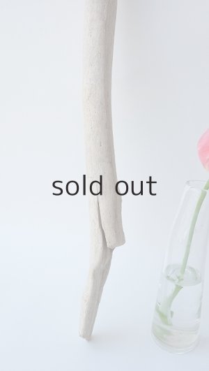 画像2: 小枝流木セット