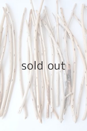 画像3: 棒流木・極細セット