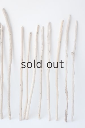 画像4: 棒流木セット