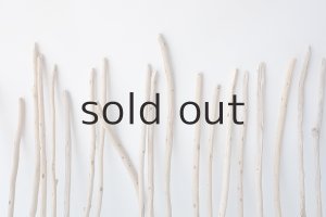 画像6: 棒流木セット