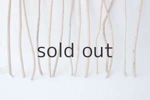 画像4: 棒流木セット