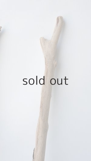 画像5: 小枝流木セット