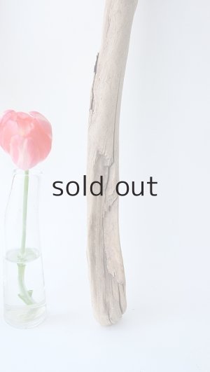 画像4: 小枝流木セット