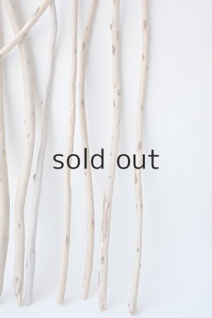 画像4: 棒流木セット