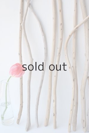 画像2: 棒流木セット