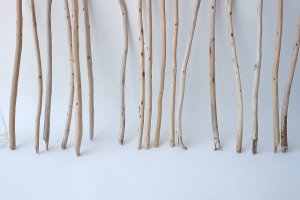 画像5: 棒流木セット