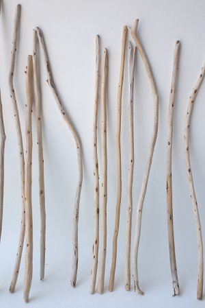 画像3: 棒流木セット