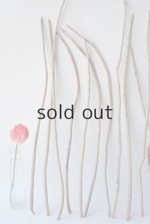 画像2: 棒流木セット