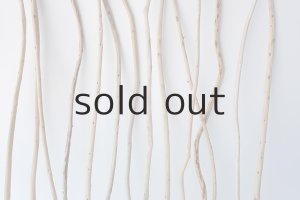 画像5: 棒流木セット