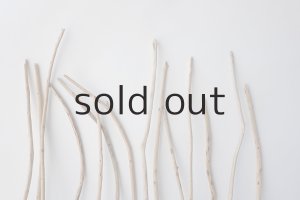 画像6: 棒流木セット