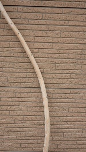 画像3: 棒流木・長尺