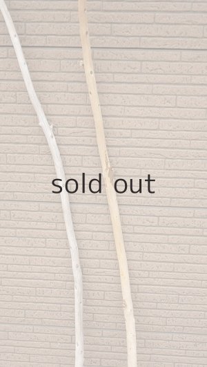 画像3: 棒流木セット・長尺