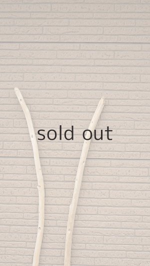 画像4: 棒流木セット