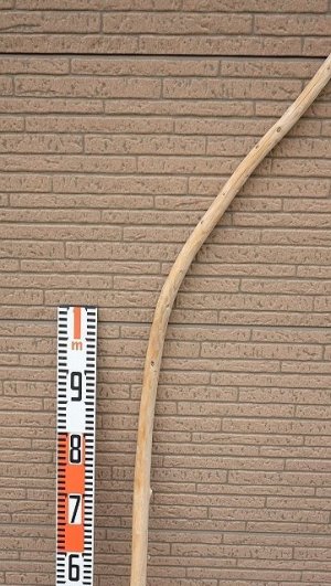 画像7: 棒流木・長尺