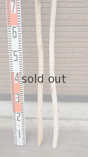 画像5: 棒流木セット・長尺