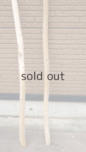 画像2: 棒流木セット