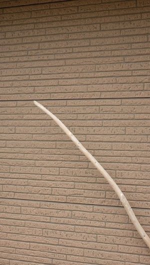 画像5: 棒流木・長尺