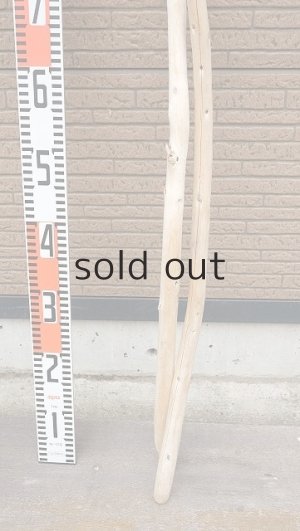 画像5: 棒流木セット