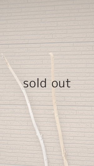 画像4: 棒流木セット・長尺