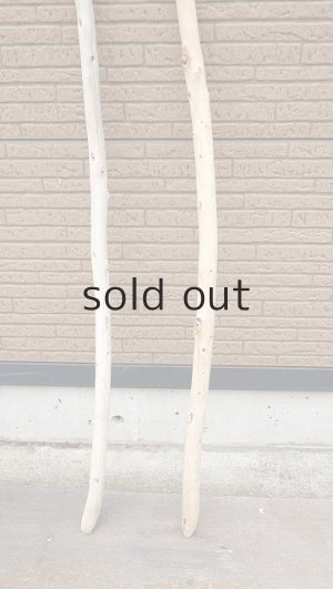 画像2: 棒流木セット・長尺