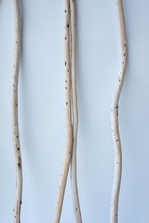 画像6: 棒流木セット