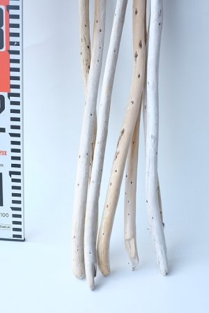 画像7: 棒流木セット