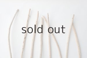 画像4: 棒流木セット