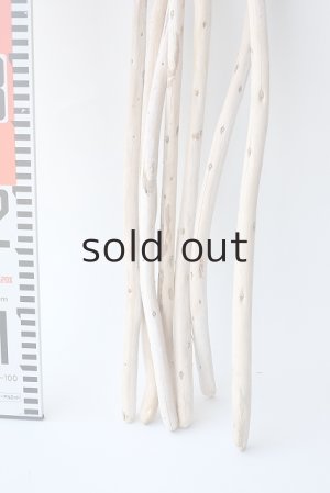 画像7: 棒流木セット