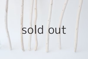 画像2: 棒流木セット