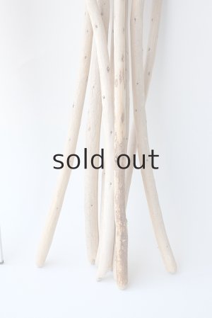 画像7: 棒流木セット