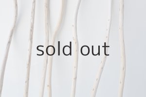 画像3: 棒流木セット