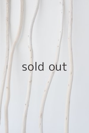 画像6: 棒流木セット