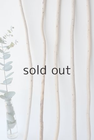 画像5: 棒流木セット