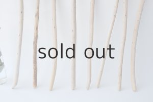 画像2: 棒流木セット