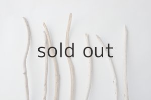 画像4: 棒流木セット