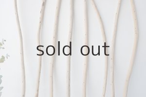 画像3: 棒流木セット