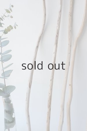 画像5: 棒流木セット