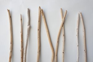 画像4: 棒流木セット