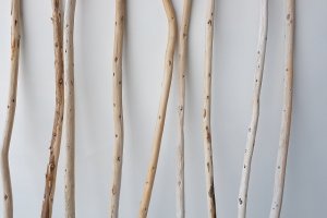 画像3: 棒流木セット