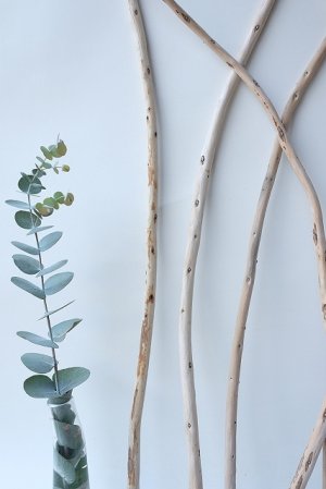 画像5: 棒流木セット