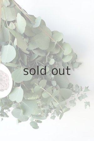 画像5: Dry plants for decor ユーカリ2種シンプルスワッグ