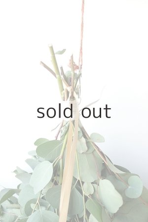 画像6: Dry plants for decor ユーカリ2種シンプルスワッグ