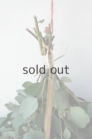 画像3: Dry plants for decor ユーカリ2種シンプルスワッグ