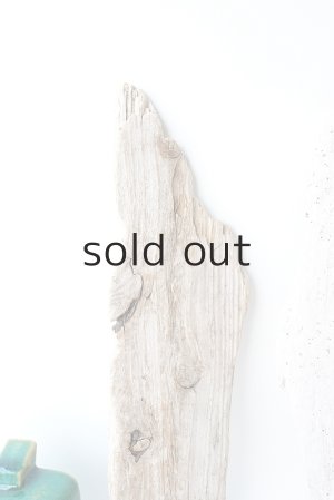 画像3: 板流木セット