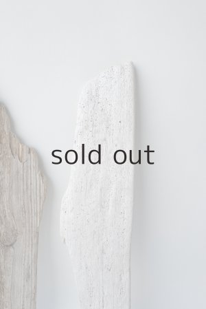 画像5: 板流木セット