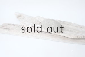 画像6: 板流木セット