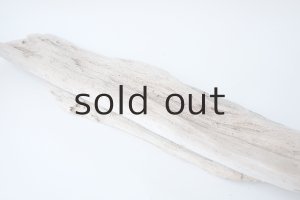 画像7: 板流木セット