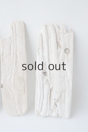 画像4: 板流木セット