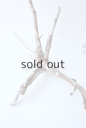 画像2: 流木根セット